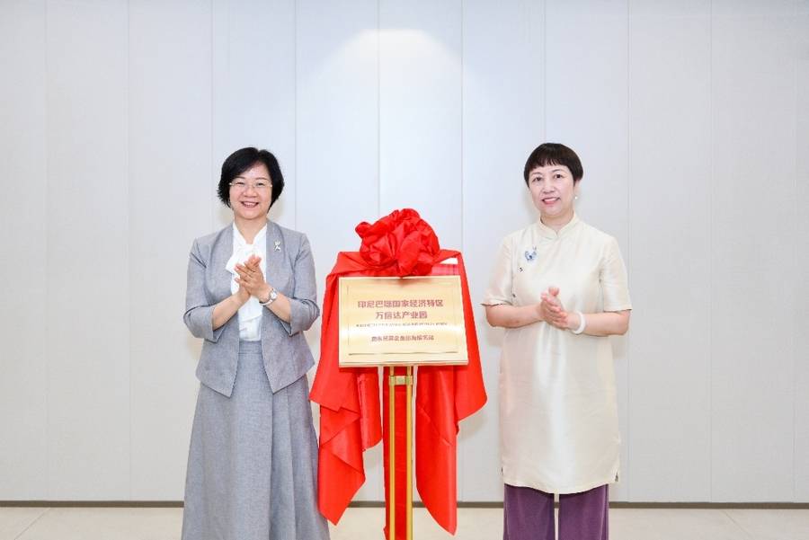 打破民企出海傳統(tǒng)服務模式,這個海外園區(qū)服務站設進了浦東