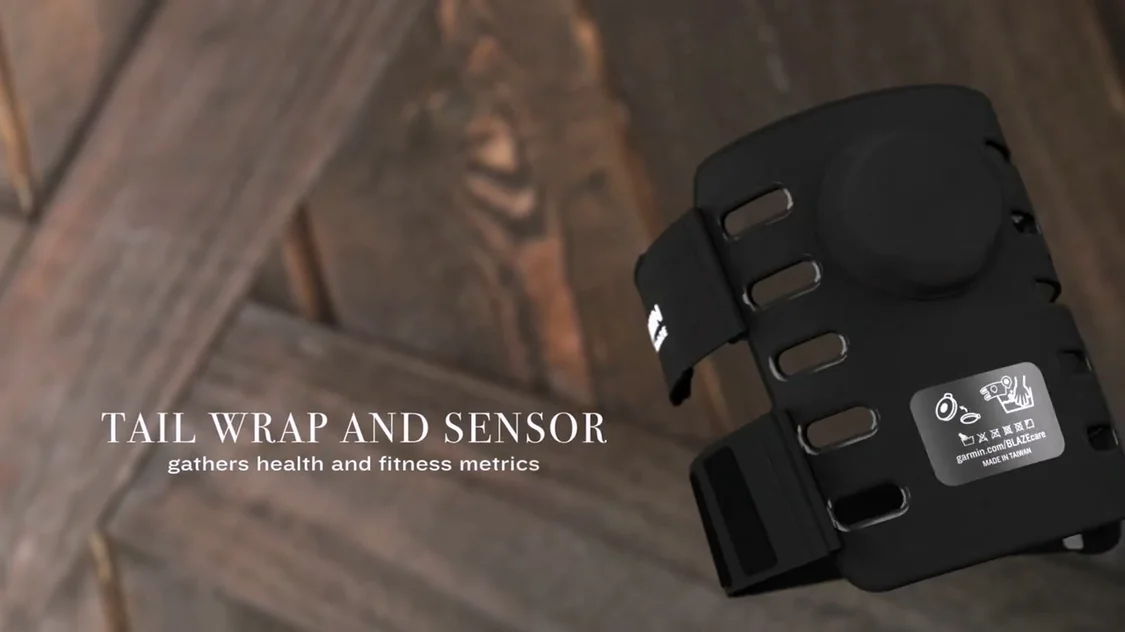 佳明推出Blaze:其首款為馬匹打造的智能健康追蹤器