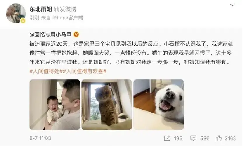 小楊哥和東北雨姐,別再惦記復出了