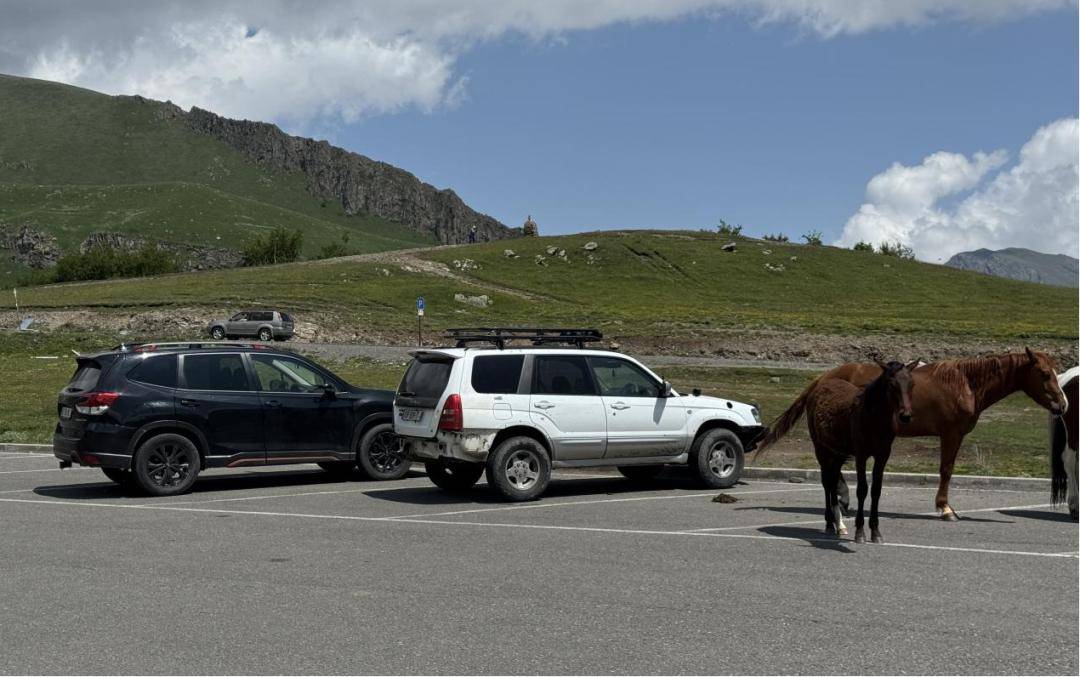 海外試駕斯巴魯森林人:聰明的斯巴魯,被誤解的斯巴魯